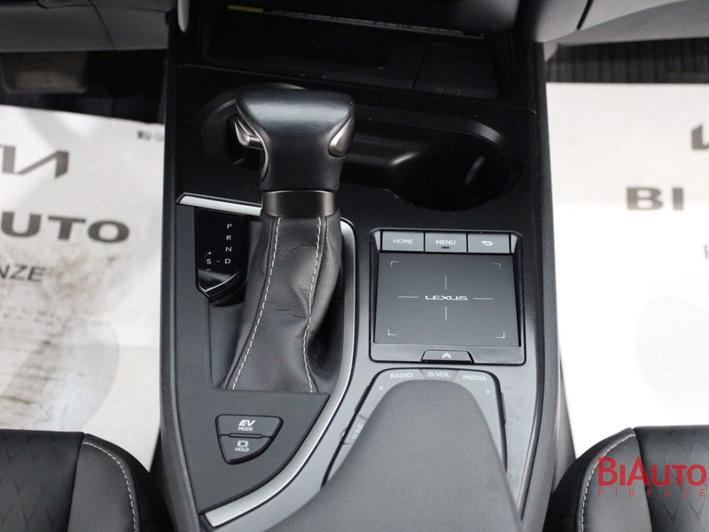 Lexus UX usata a Firenze (16)