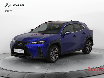 Lexus UX Hybrid 4WD Design del 2023 usata a Sesto Fiorentino