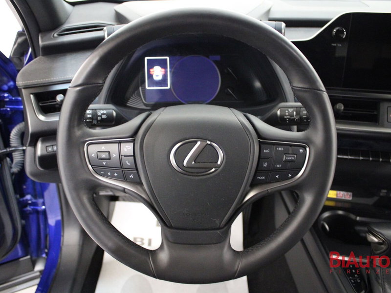 Lexus UX usata a Firenze (11)