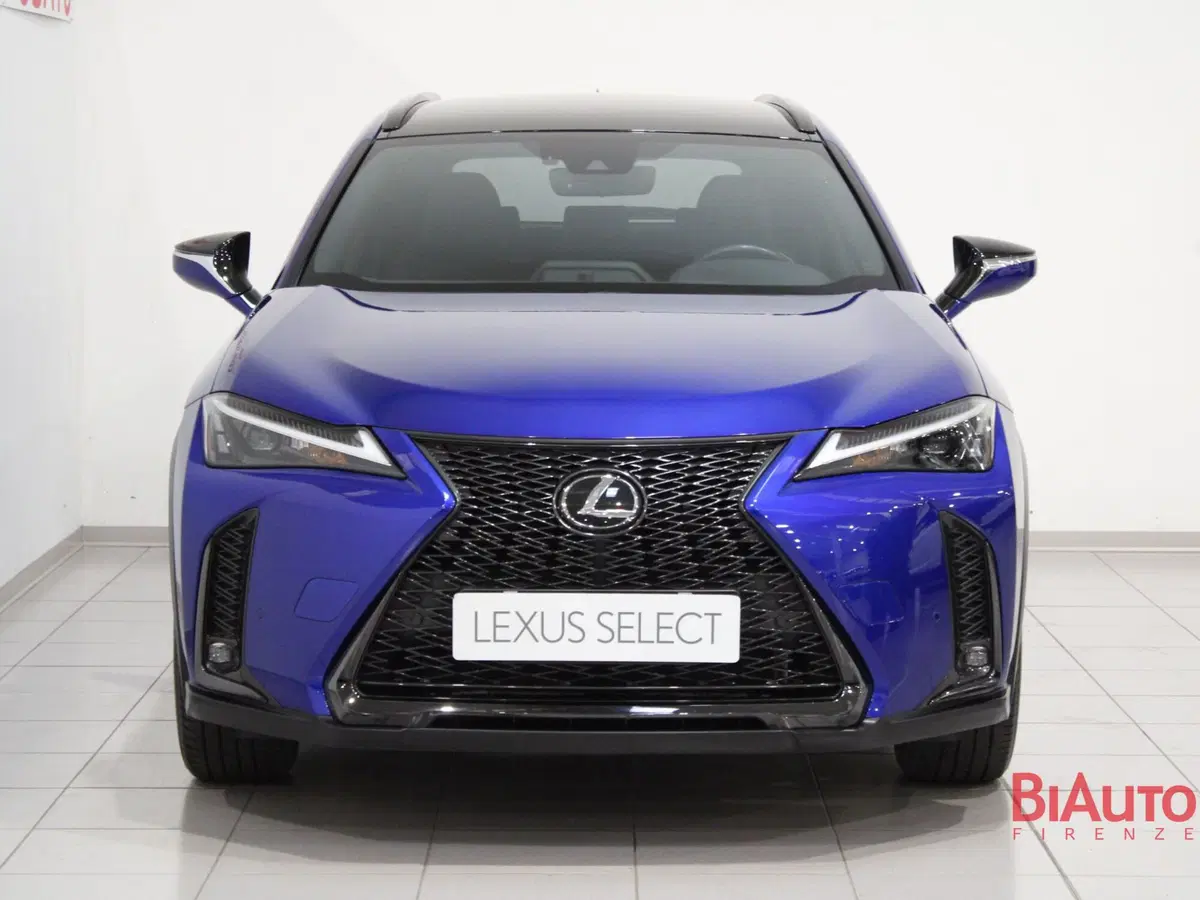 Lexus UX usata a Firenze (4)