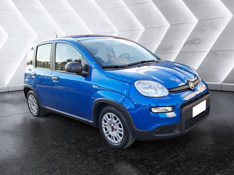 Fiat Panda Cross usata a Salerno (2)