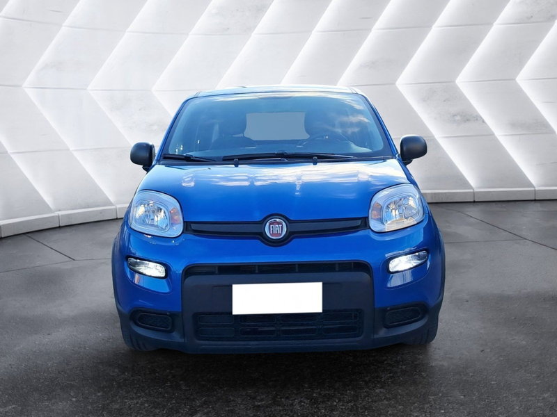 Fiat Panda Cross usata a Salerno (3)