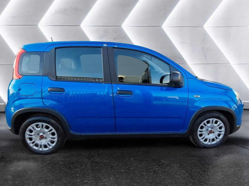 Fiat Panda Cross usata a Salerno (4)