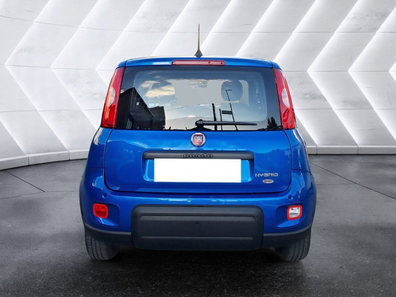Fiat Panda Cross usata a Salerno (5)
