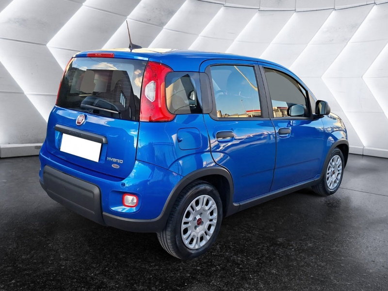 Fiat Panda Cross usata a Salerno (6)