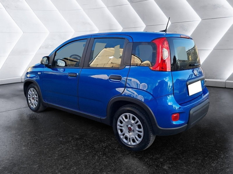 Fiat Panda Cross usata a Salerno (7)