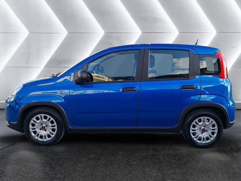 Fiat Panda Cross usata a Salerno (8)