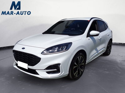 Ford Kuga 2.5 Full Hybrid 190 CV CVT 2WD ST-Line Design del 2023 usata a Castelfranco Veneto