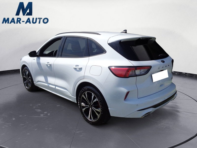 Ford Kuga usata a Treviso (2)
