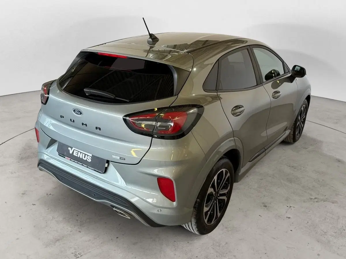 Ford Puma usata a Monza e Brianza (6)