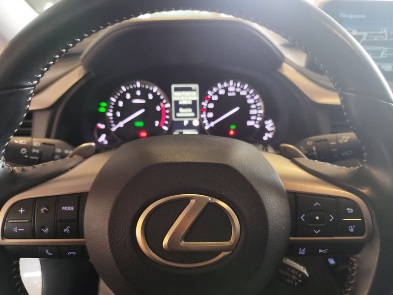 Lexus RX usata a Milano (10)