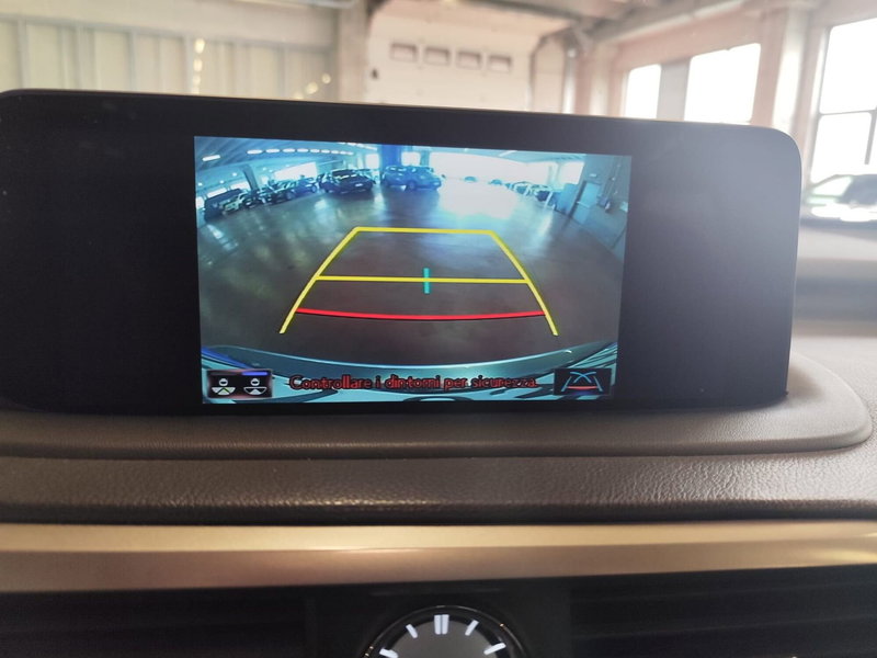 Lexus RX usata a Milano (12)