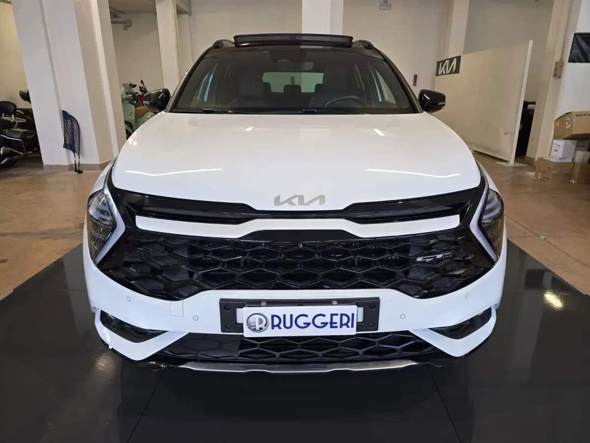 Kia Sportage usata a Rimini (3)