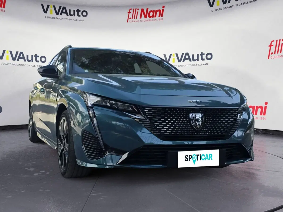 Peugeot 308 SW usata a Massa-Carrara (18)