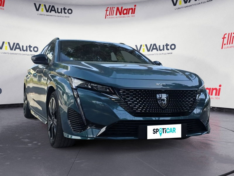 Peugeot 308 SW usata a Massa-Carrara (18)