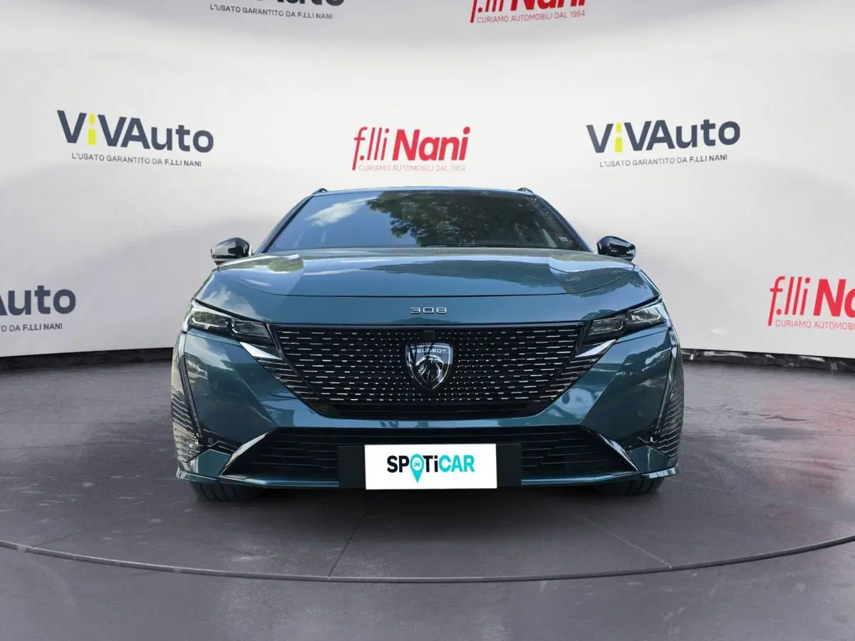 Peugeot 308 SW usata a Massa-Carrara (3)