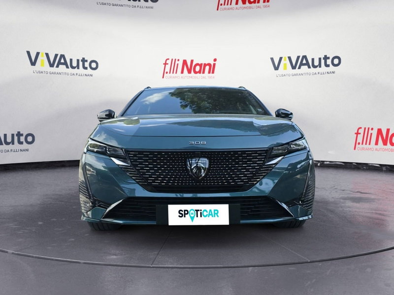 Peugeot 308 SW usata a Massa-Carrara (3)