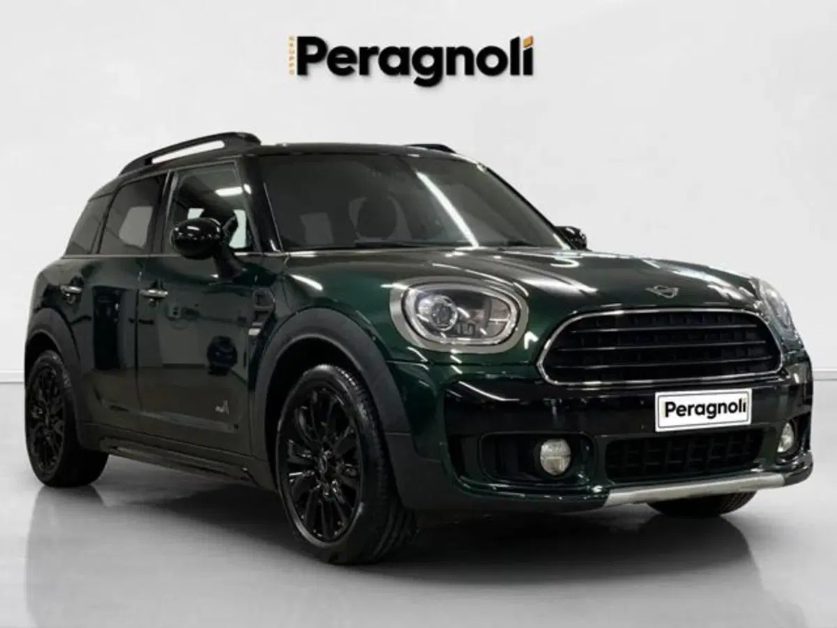MINI Mini Countryman usata a Firenze (3)