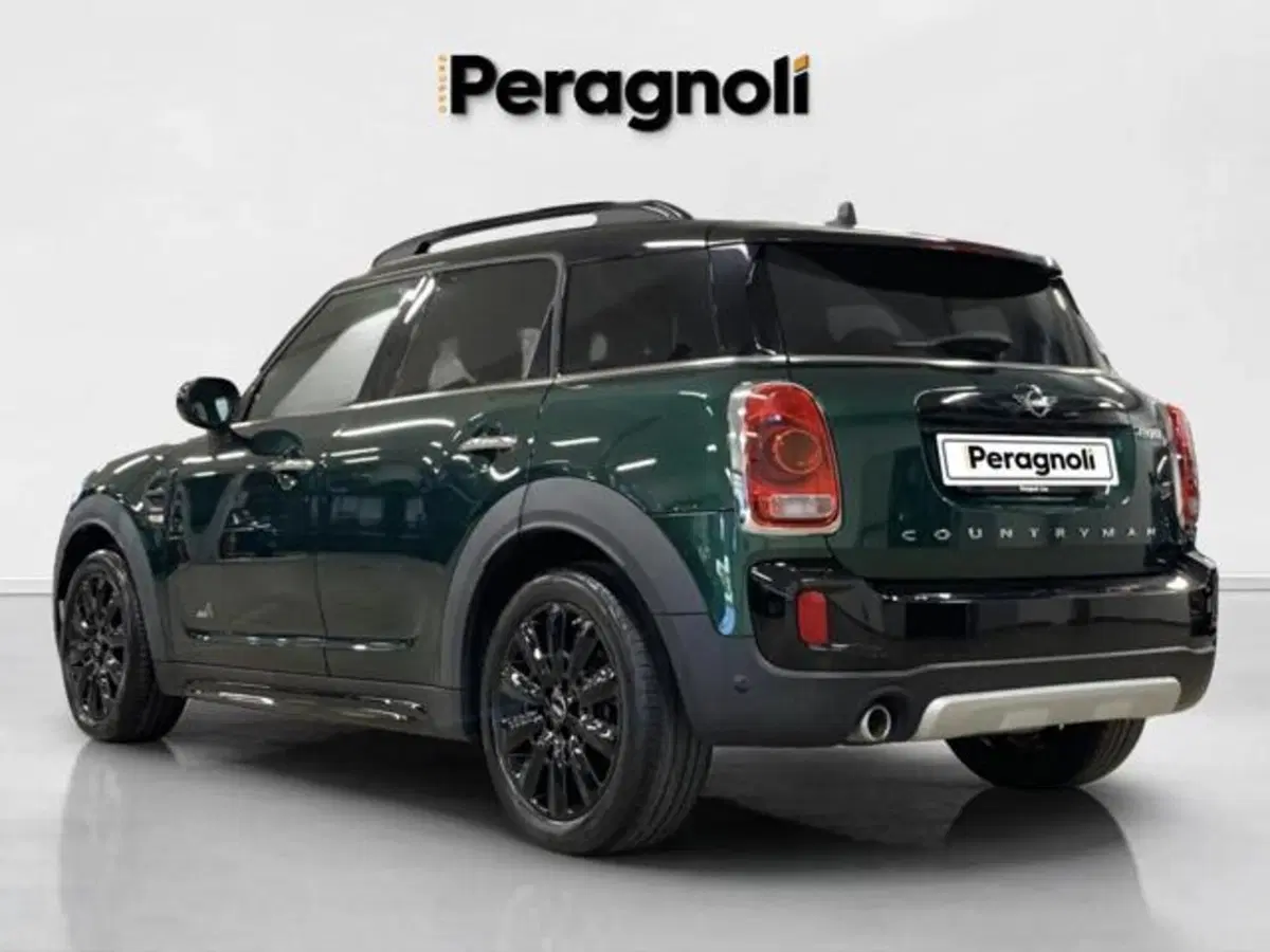 MINI Mini Countryman usata a Firenze (4)