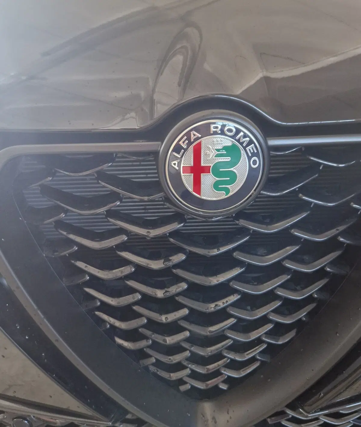 Alfa Romeo Tonale usata a Terni (20)