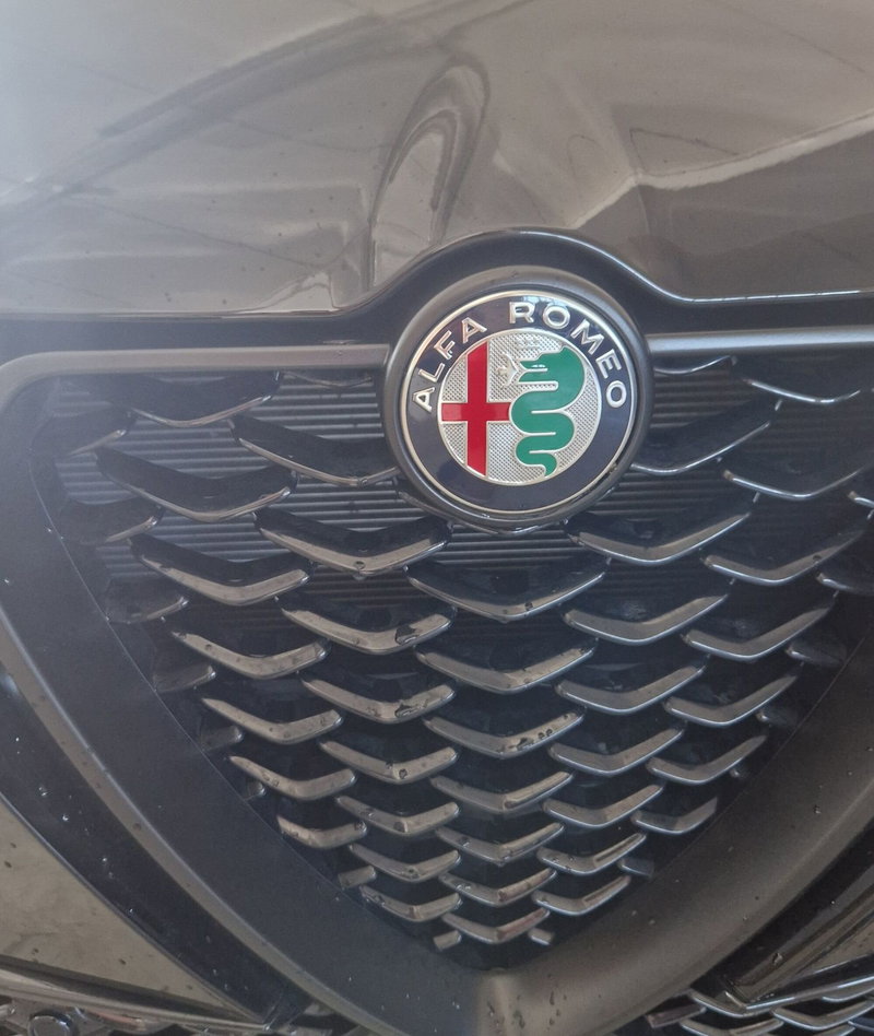 Alfa Romeo Tonale usata a Terni (20)