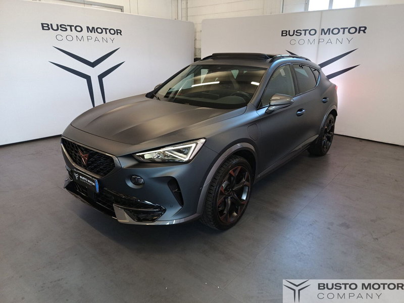 Cupra Formentor usata a Varese (3)