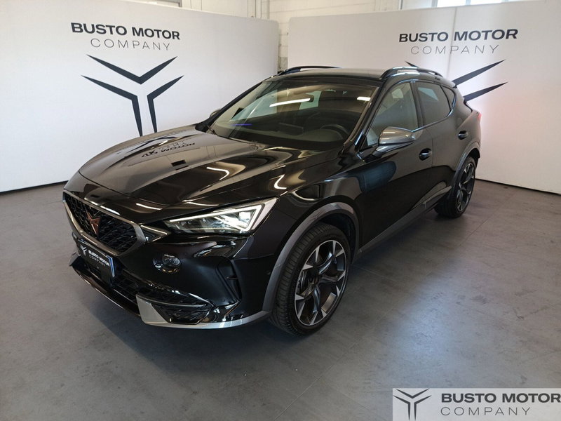 Cupra Formentor usata a Varese (3)