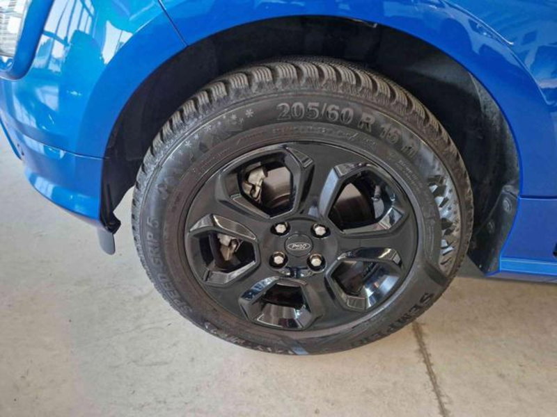 Ford EcoSport usata a Bologna (8)