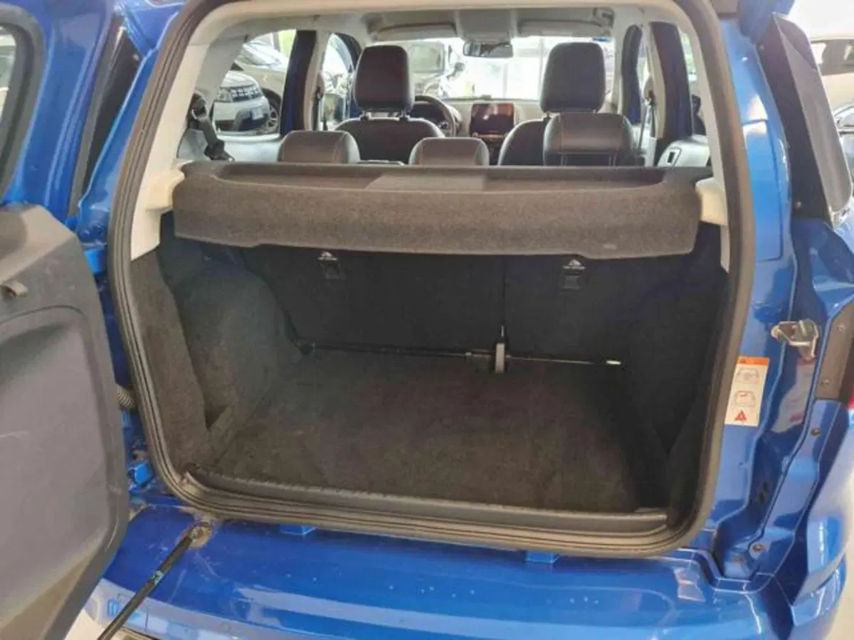 Ford EcoSport usata a Bologna (9)