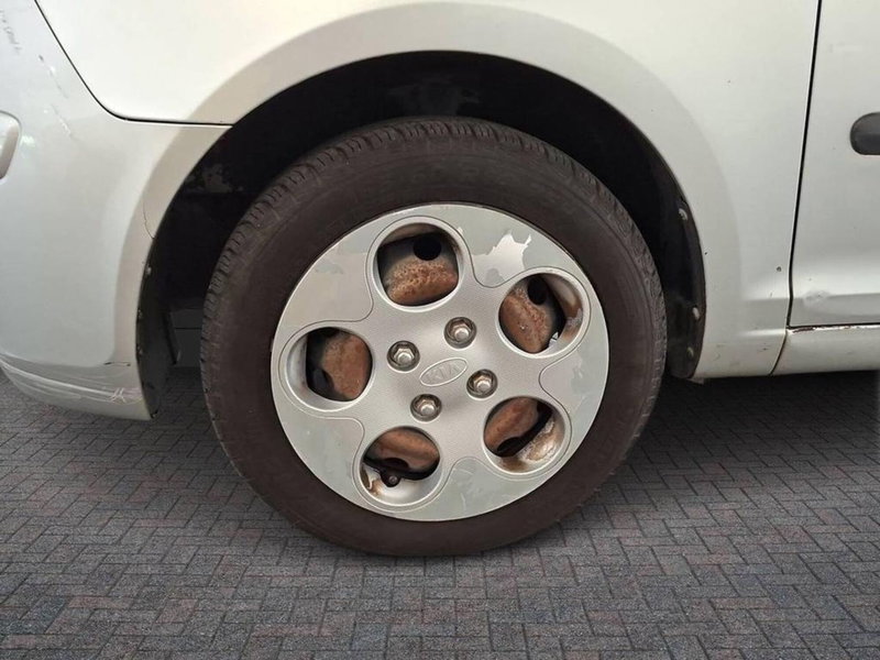 Kia Picanto usata a Torino (7)