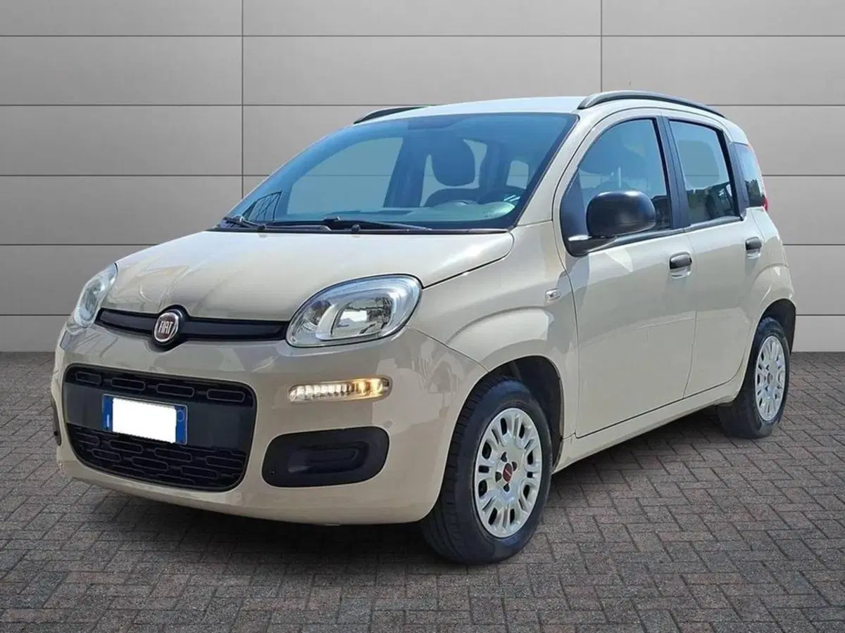 Fiat Panda usata a Torino