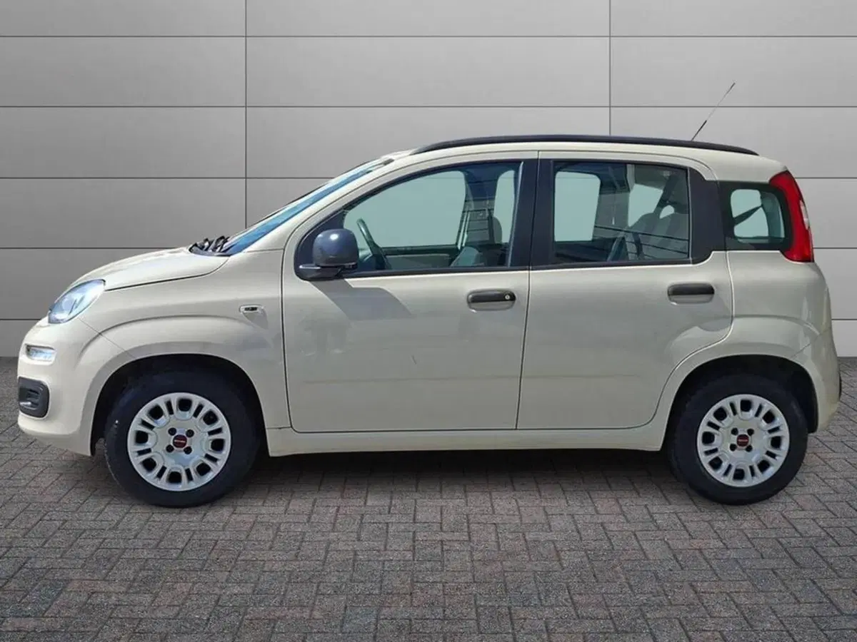 Fiat Panda usata a Torino (6)