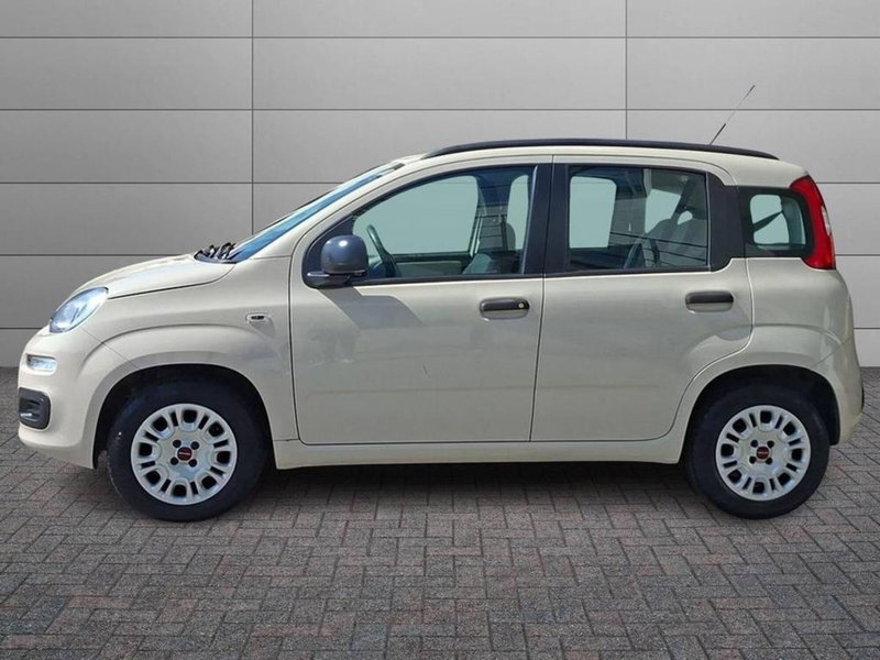 Fiat Panda usata a Torino (6)