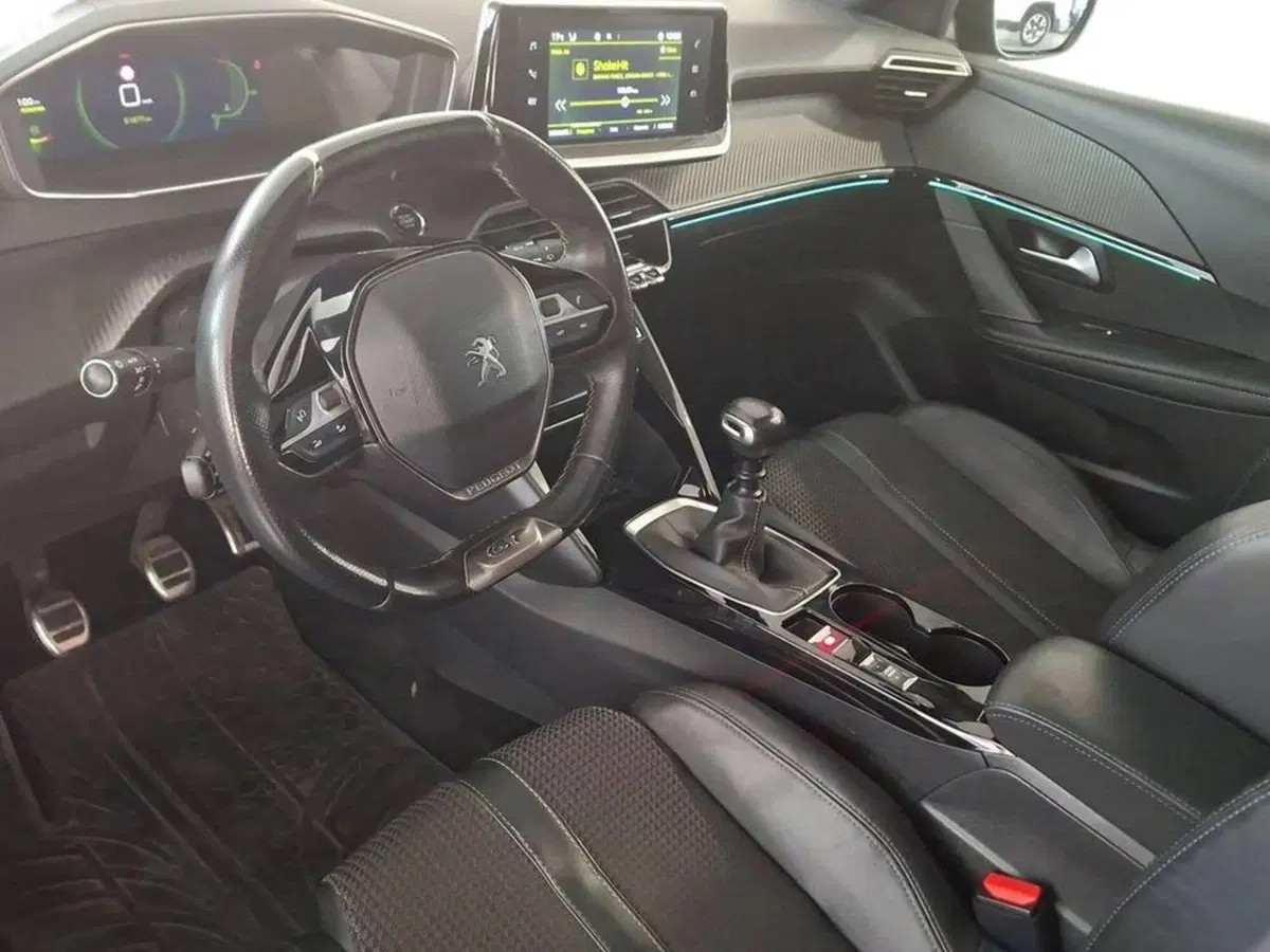 Peugeot 208 usata a Torino (11)