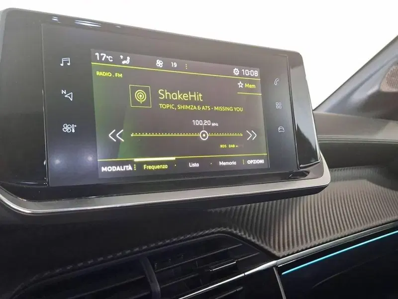 Peugeot 208 usata a Torino (9)