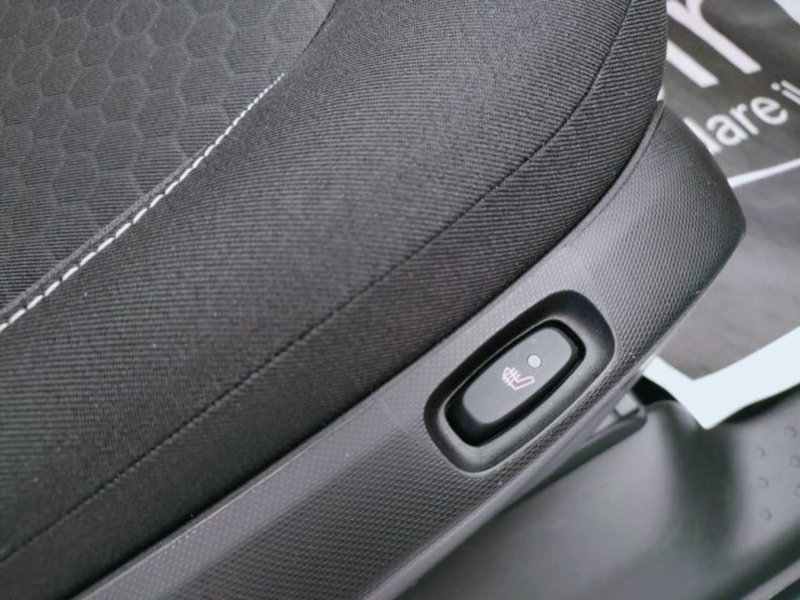 smart forfour usata a Teramo (10)