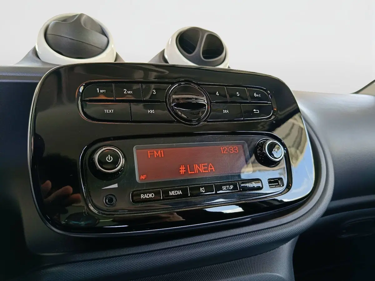 smart forfour usata a Ascoli Piceno (13)