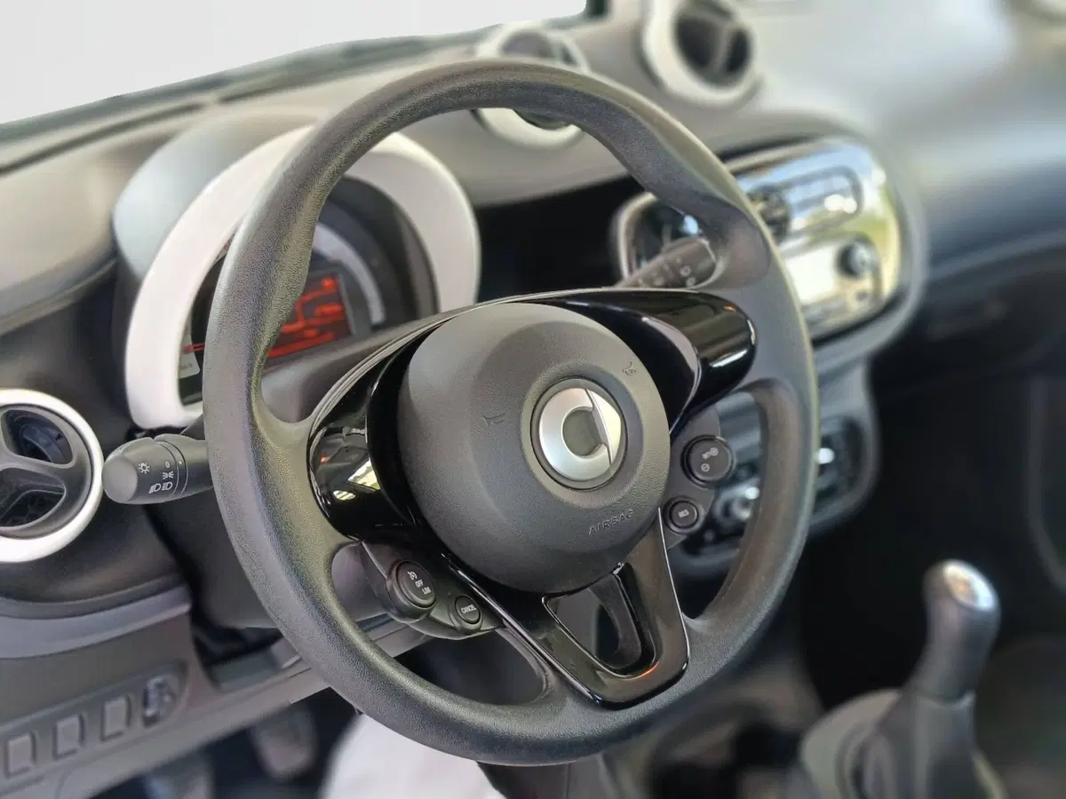 smart forfour usata a Ascoli Piceno (15)
