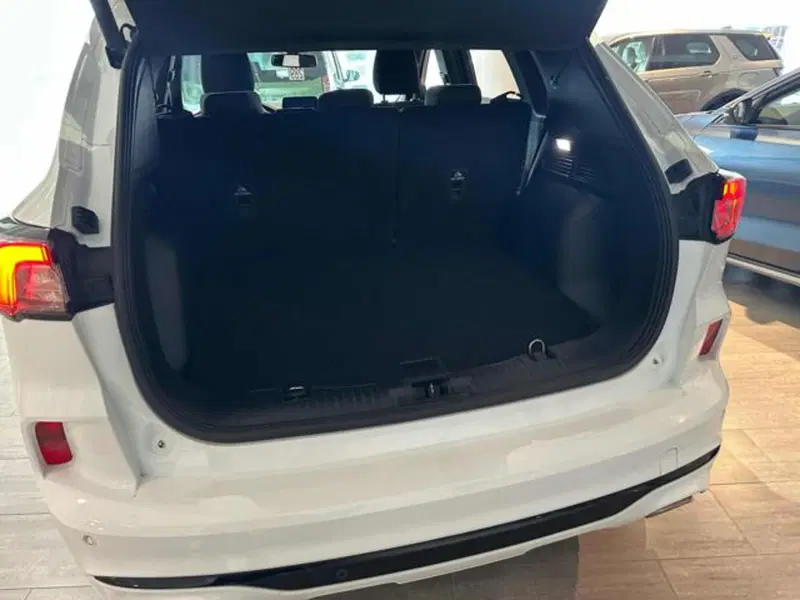 Ford Kuga usata a Lucca (5)