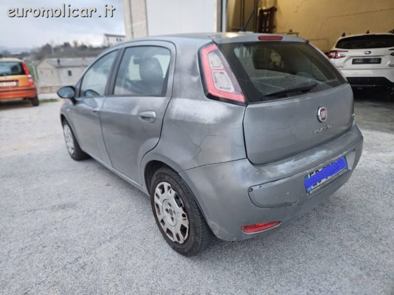 Fiat Punto Evo usata a Campobasso (4)