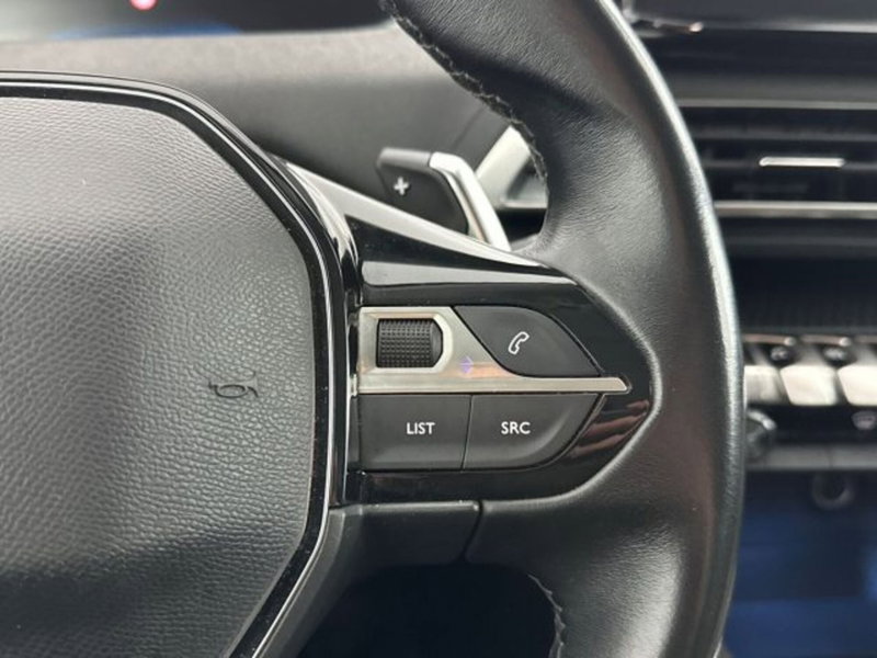 Peugeot 3008 usata a Bologna (19)