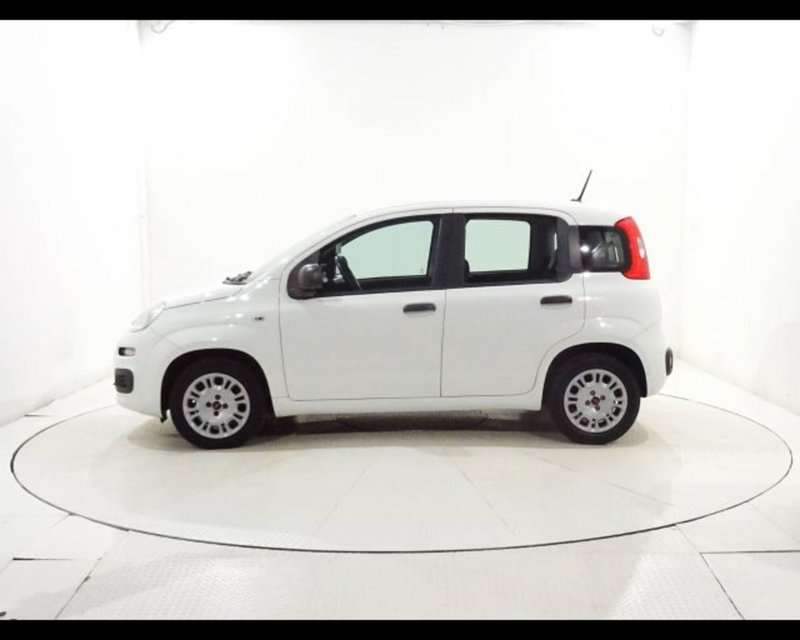 Fiat Panda usata a Bologna (3)