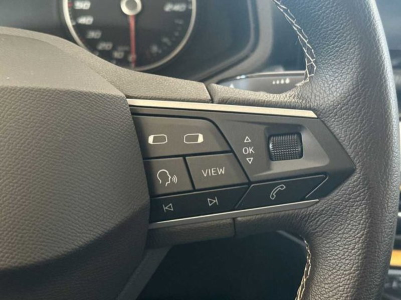 SEAT Ibiza usata a Bologna (18)