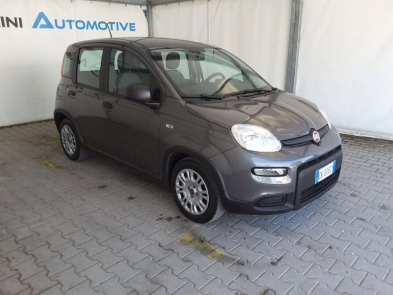 Fiat Panda nuova a Firenze (2)