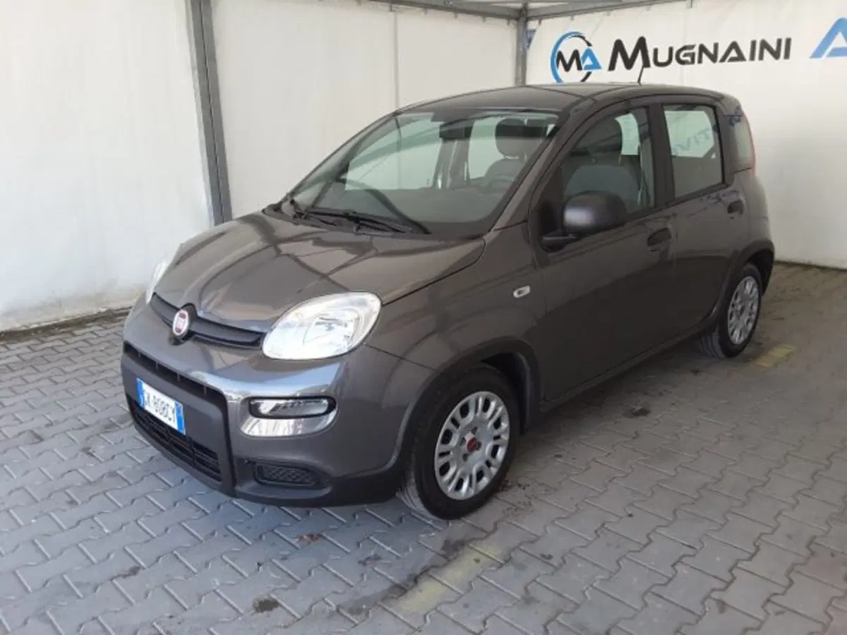 Fiat Panda usata a Firenze (3)