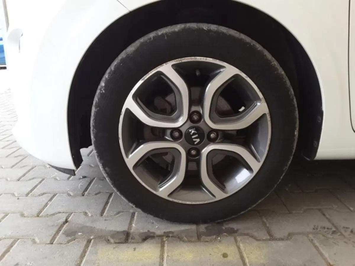 Kia Picanto usata a Firenze (4)