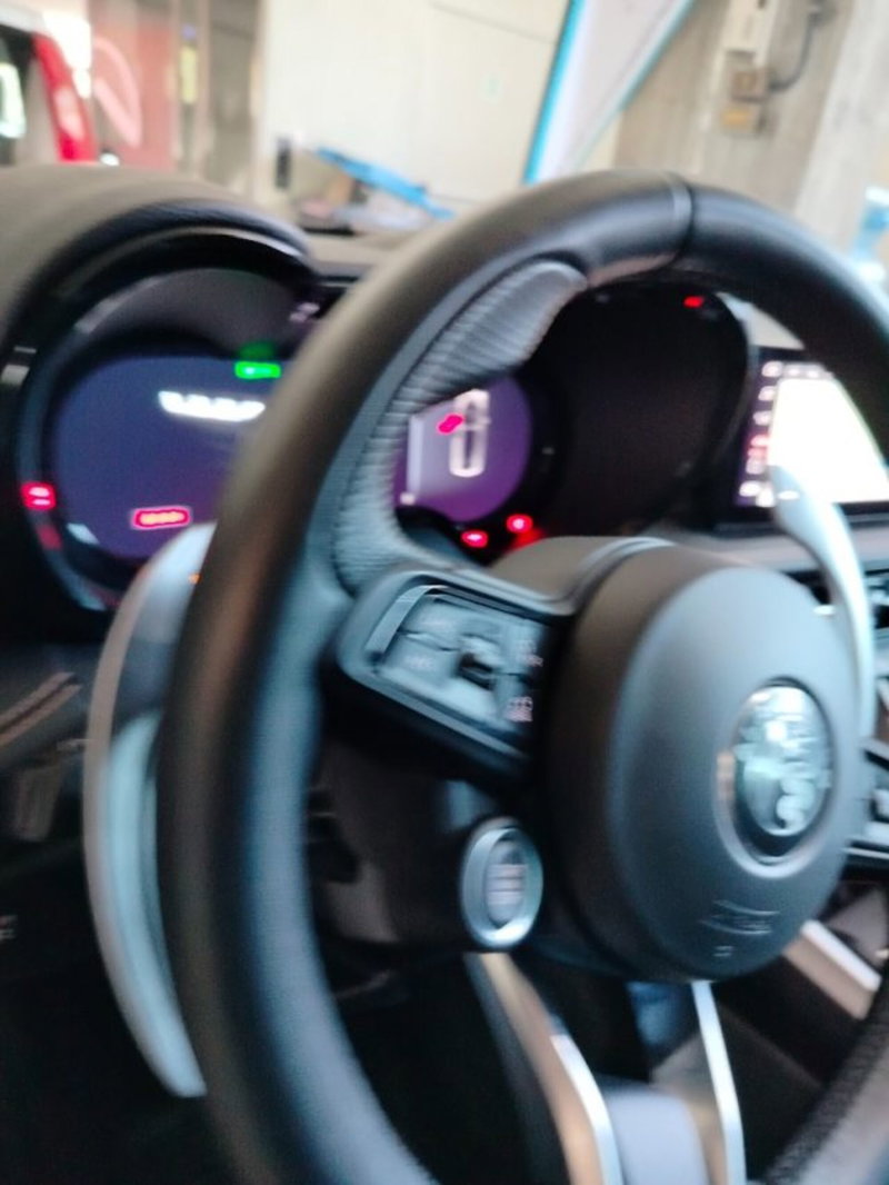 Alfa Romeo Tonale usata a Forlì-Cesena (17)