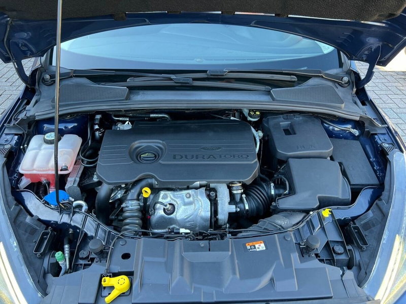 Ford Focus Station Wagon usata a Sondrio (17)