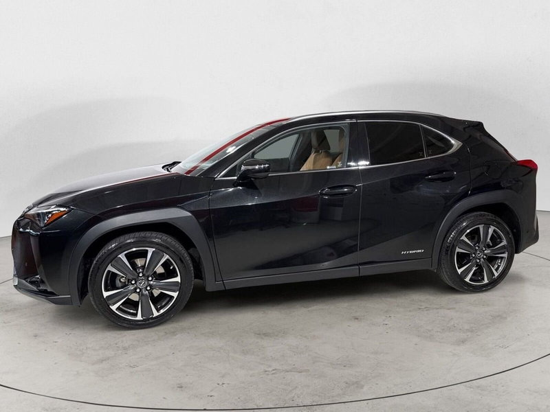 Lexus UX usata a Sondrio (4)