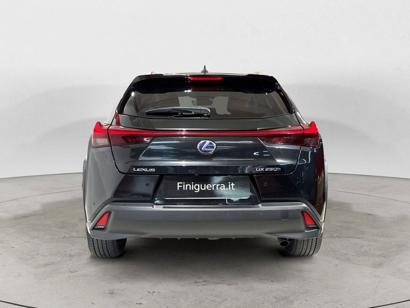 Lexus UX usata a Sondrio (7)